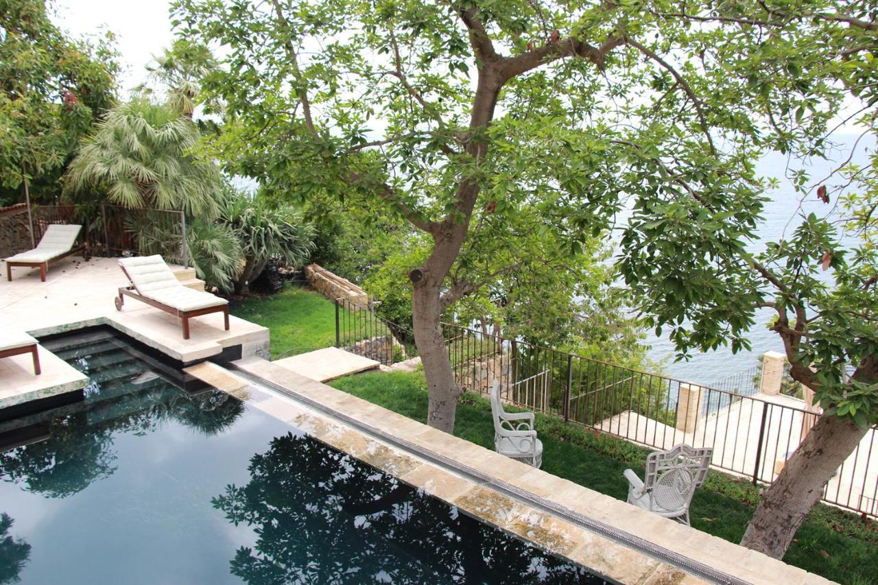 El Jardin Botanico Villa Luz Altea Exterior photo