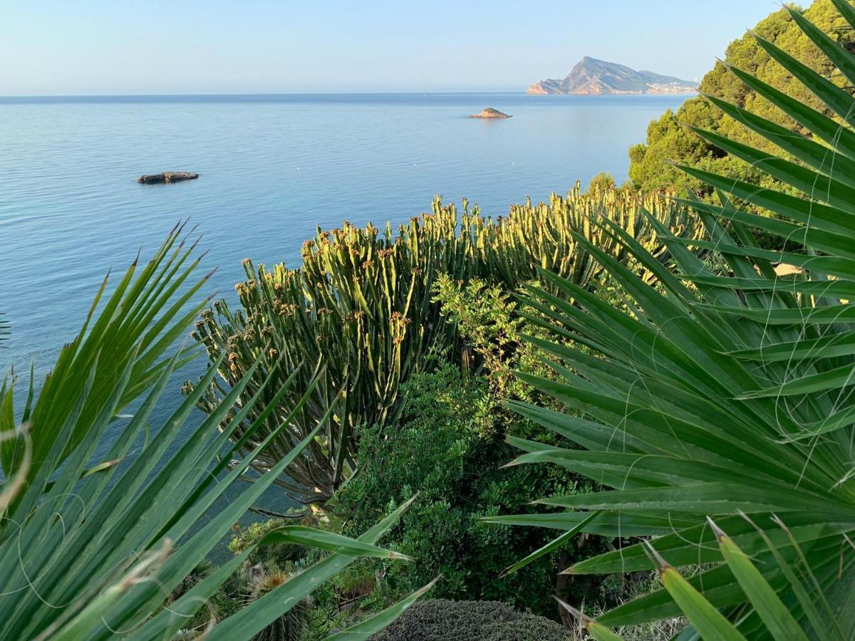 El Jardin Botanico Villa Luz Altea Exterior photo